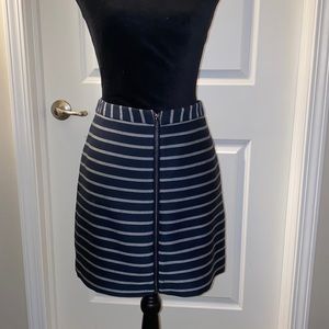 The Limited Zipper skirt